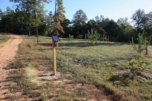 electric-deer-fence-for-site
