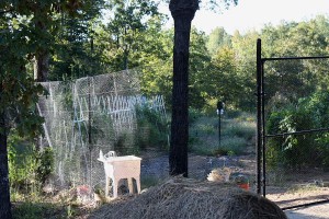 hexagrid-deer-fence-for-site