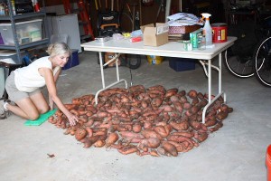 awb w sweet potatoes on shop floor for site