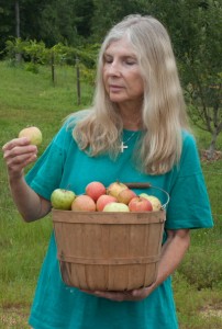 After we picked the final apples of the season and made all of them into jam, Amanda and I returned to the orchard for "gleaning" and came in with another 1/2 bushel that we can enjoy eating.